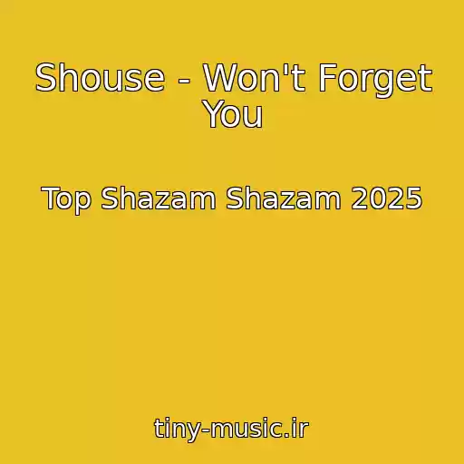 کاور آهنگ Shouse - Won't Forget You از Top Shazam Shazam 2025