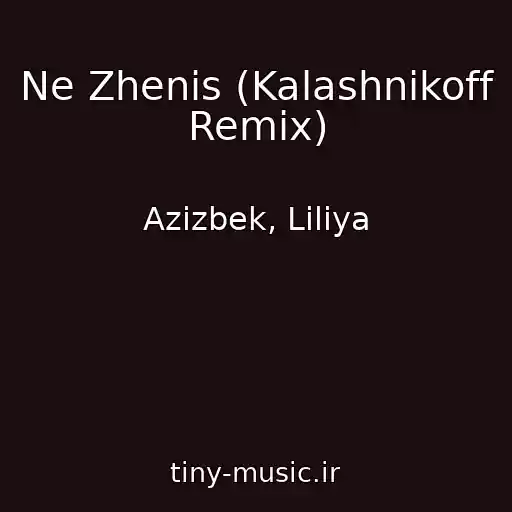 کاور آهنگ Ne Zhenis (Kalashnikoff Remix) از Azizbek, Liliya