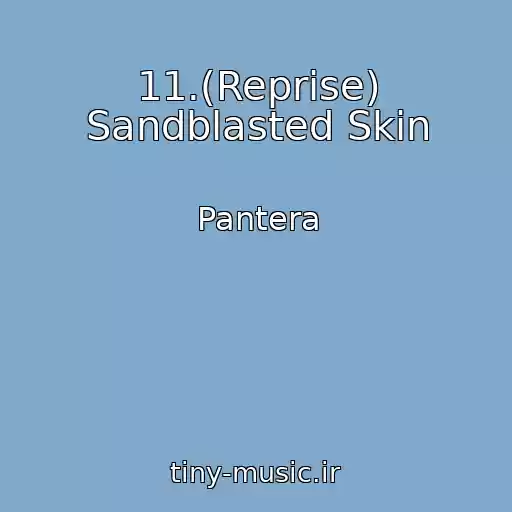 کاور آهنگ 11.(Reprise) Sandblasted Skin از Pantera