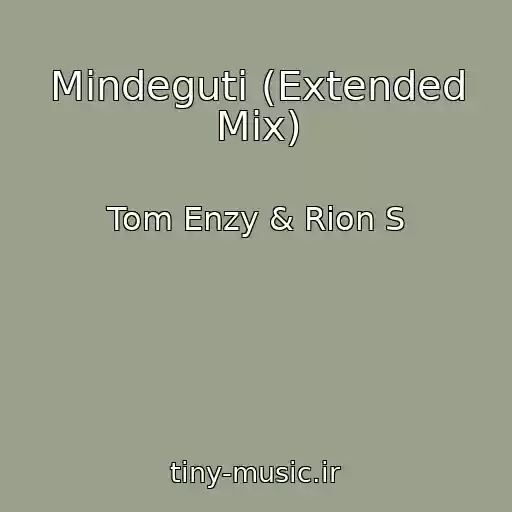 کاور آهنگ Mindeguti (Extended Mix) از Tom Enzy & Rion S