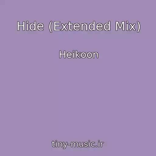 کاور آهنگ Hide (Extended Mix) از Heikoon