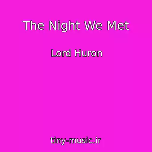 کاور آهنگ The Night We Met از Lord Huron