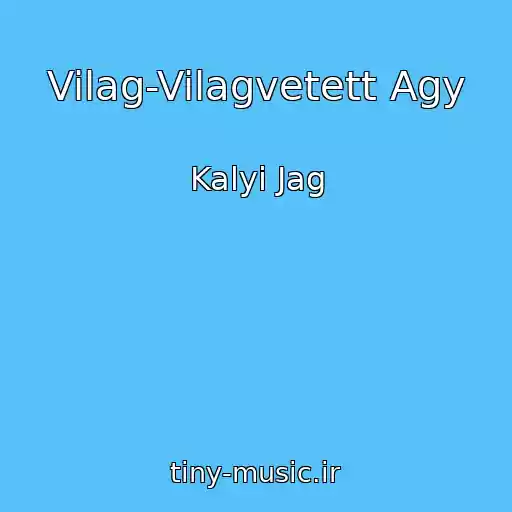 کاور آهنگ Vilag-Vilagvetett Agy از Kalyi Jag