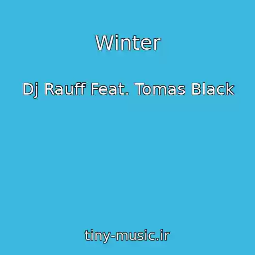 کاور آهنگ Winter از Dj Rauff Feat. Tomas Black