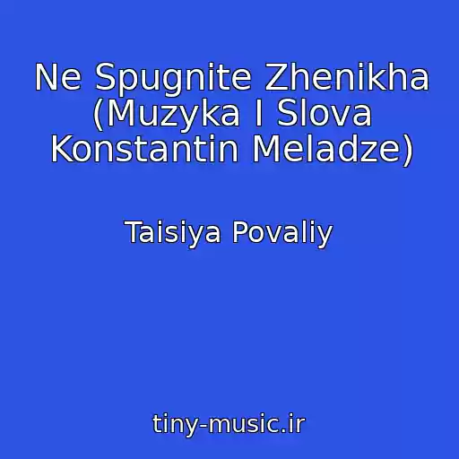 کاور آهنگ Ne Spugnite Zhenikha (Muzyka I Slova Konstantin Meladze) از Taisiya Povaliy
