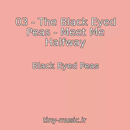 کاور آهنگ 03 - The Black Eyed Peas - Meet Me Halfway از Black Eyed Peas