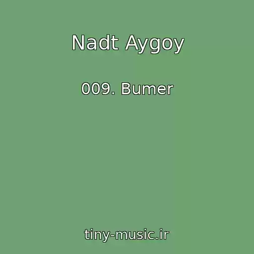 کاور آهنگ Nadt Aygoy از 009. Bumer