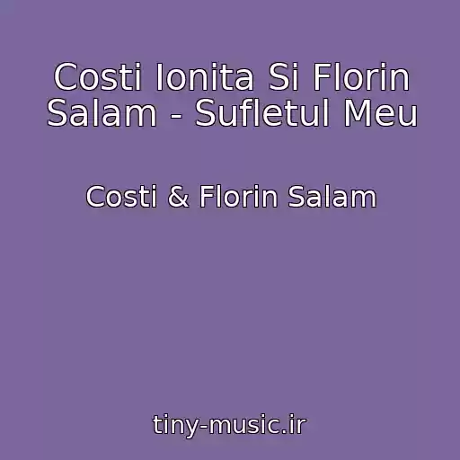 کاور آهنگ Costi Ionita Si Florin Salam - Sufletul Meu از Costi & Florin Salam