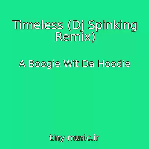 کاور آهنگ Timeless (Dj Spinking Remix) از A Boogie Wit Da Hoodie