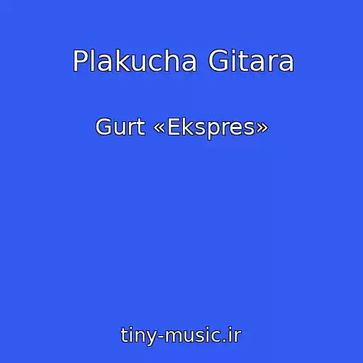 کاور آهنگ Plakucha Gіtara از Gurt «Ekspres»
