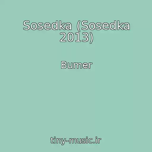 کاور آهنگ Sosedka (Sosedka 2013) از Bumer