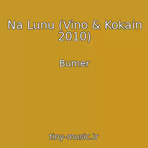 کاور آهنگ Na Lunu (Vino & Kokain 2010) از Bumer