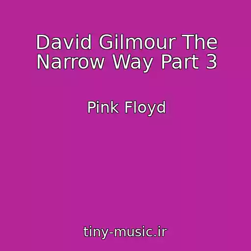 کاور آهنگ David Gilmour The Narrow Way Part 3 از Pink Floyd