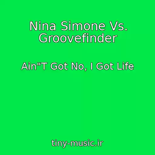 کاور آهنگ Nina Simone Vs. Groovefinder از Ain"T Got No, I Got Life