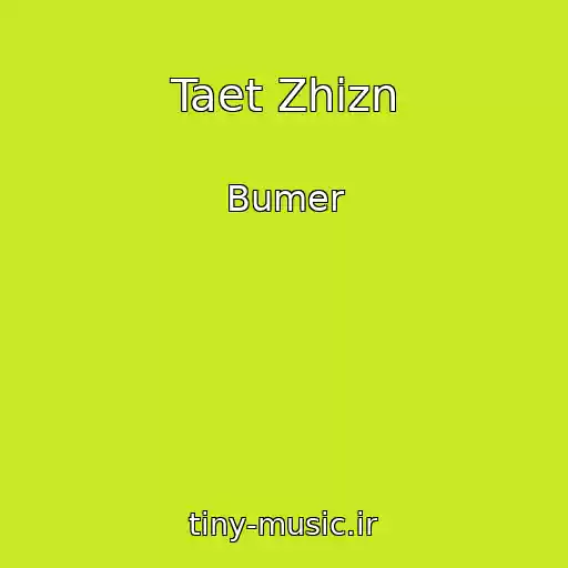 کاور آهنگ Taet Zhizn از Bumer
