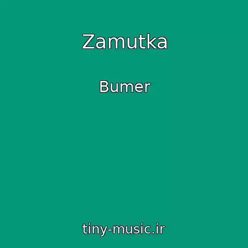 کاور آهنگ Zamutka از Bumer