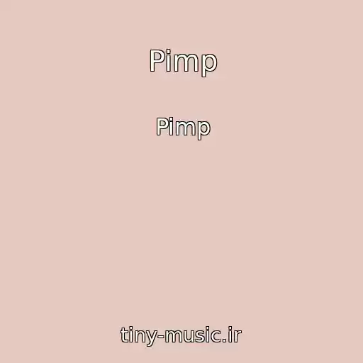کاور آهنگ Pimp از Pimp