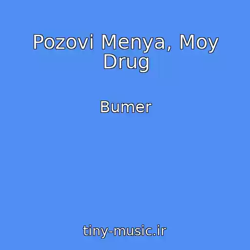 کاور آهنگ Pozovi Menya, Moy Drug از Bumer
