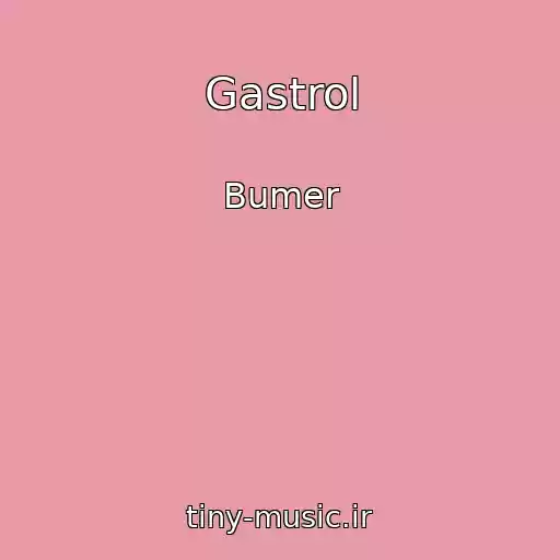کاور آهنگ Gastrol از Bumer