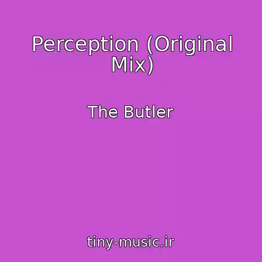 کاور آهنگ Perception (Original Mix) از The Butler