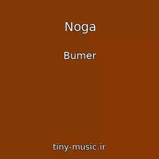 کاور آهنگ Noga از Bumer