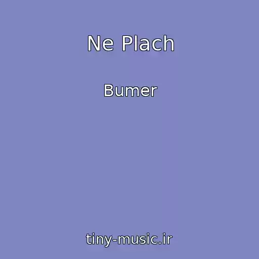 کاور آهنگ Ne Plach از Bumer