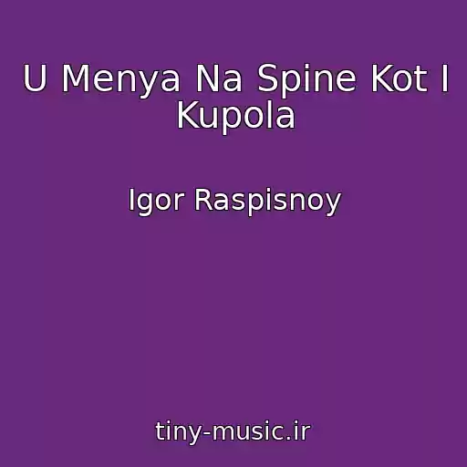 کاور آهنگ U Menya Na Spine Kot I Kupola از Igor Raspisnoy