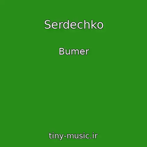 کاور آهنگ Serdechko از Bumer