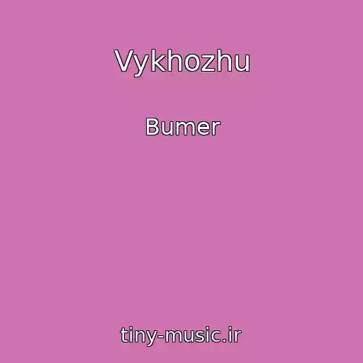 کاور آهنگ Vykhozhu از Bumer