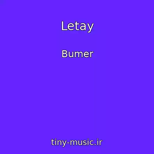 کاور آهنگ Letay از Bumer
