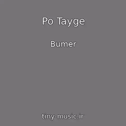 کاور آهنگ Po Tayge از Bumer