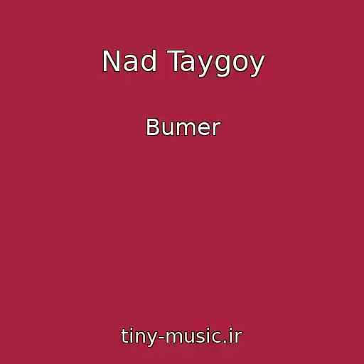 کاور آهنگ Nad Taygoy از Bumer