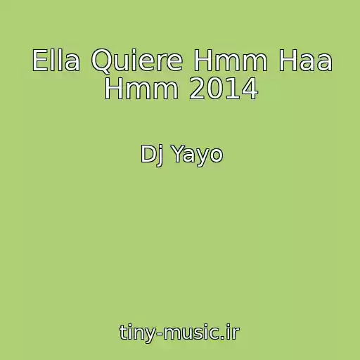 کاور آهنگ Ella Quiere Hmm Haa Hmm 2014 از Dj Yayo