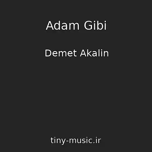 کاور آهنگ Adam Gibi از Demet Akalin