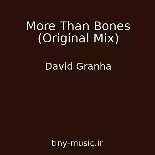 کاور آهنگ More Than Bones (Original Mix) از David Granha
