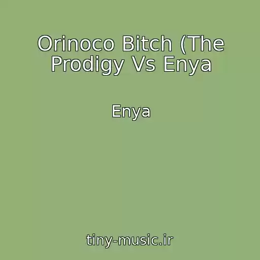 کاور آهنگ Orinoco Bitch (The Prodigy Vs Enya از Enya