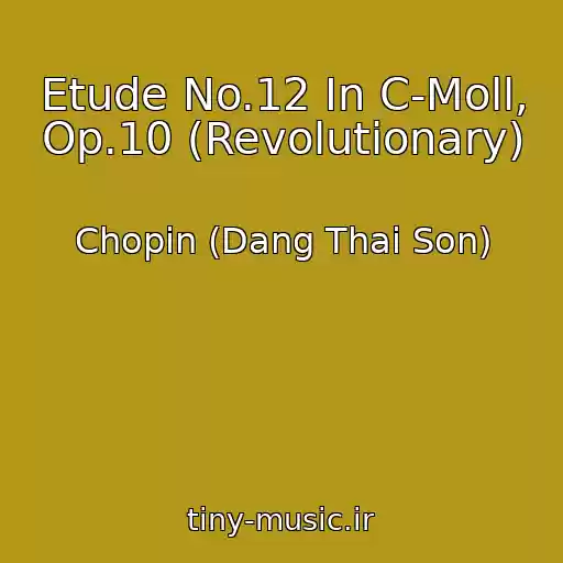 کاور آهنگ Etude No.12 In C-Moll, Op.10 (Revolutionary) از Chopin (Dang Thai Son)