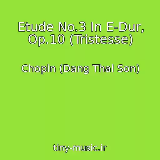 کاور آهنگ Etude No.3 In E-Dur, Op.10 (Tristesse) از Chopin (Dang Thai Son)