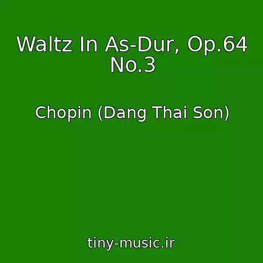 کاور آهنگ Waltz In As-Dur, Op.64 No.3 از Chopin (Dang Thai Son)