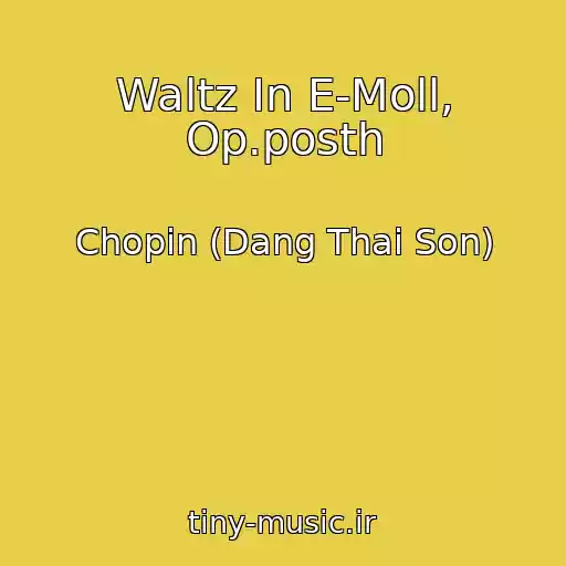 کاور آهنگ Waltz In E-Moll, Op.posth از Chopin (Dang Thai Son)