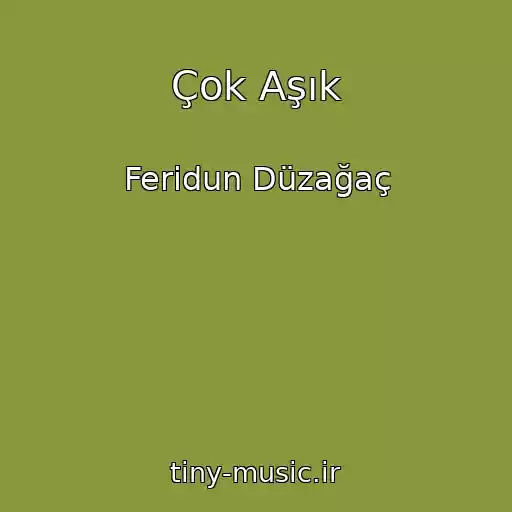 کاور آهنگ Çok Aşık از Feridun Düzağaç