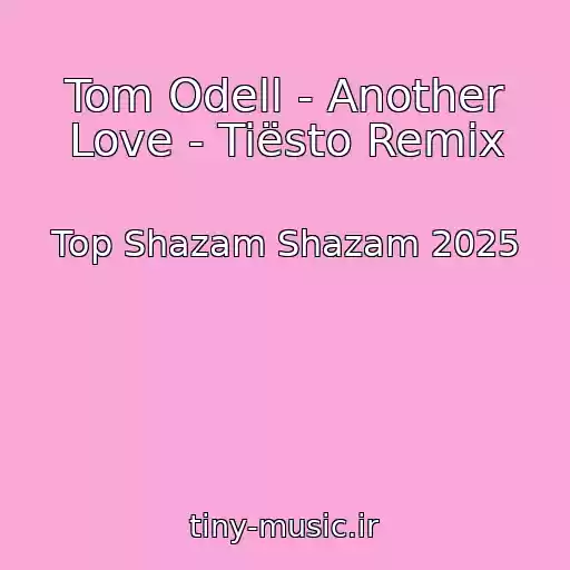کاور آهنگ Tom Odell - Another Love - Tiësto Remix از Top Shazam Shazam 2025