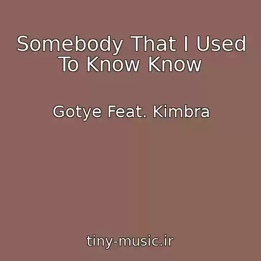 کاور آهنگ Somebody That I Used To Know Know از Gotye Feat. Kimbra