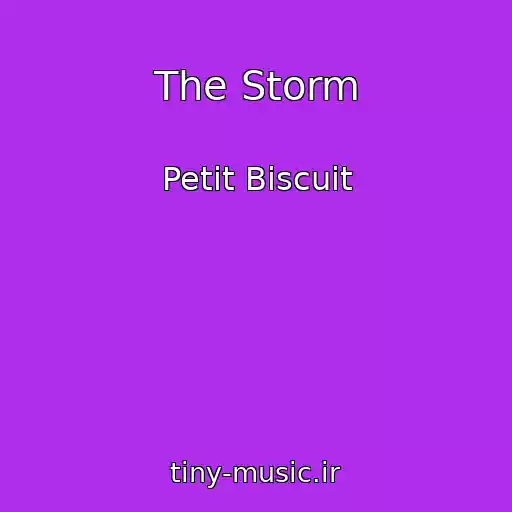 کاور آهنگ The Storm از Petit Biscuit
