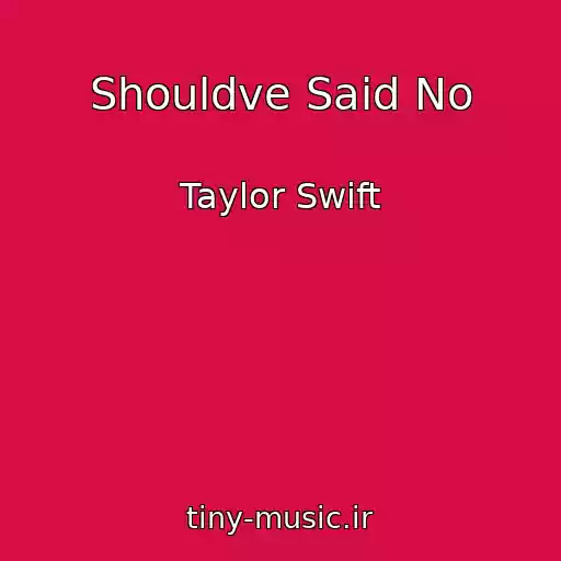 کاور آهنگ Shouldve Said No از Taylor Swift