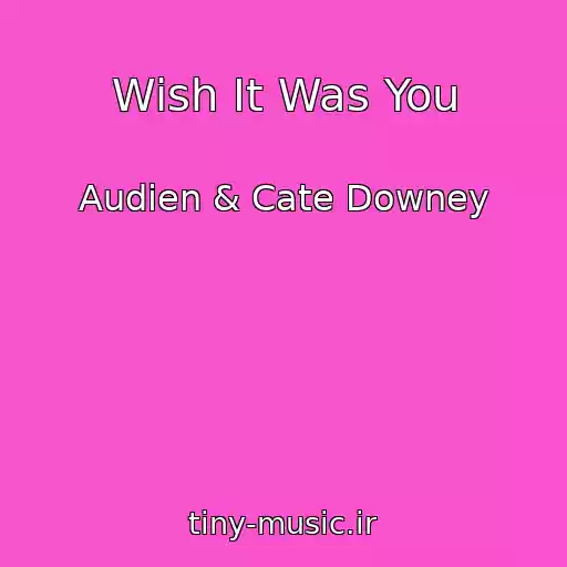 کاور آهنگ Wish It Was You از Audien & Cate Downey