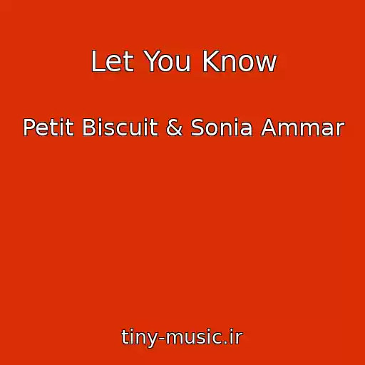 کاور آهنگ Let You Know از Petit Biscuit & Sonia Ammar