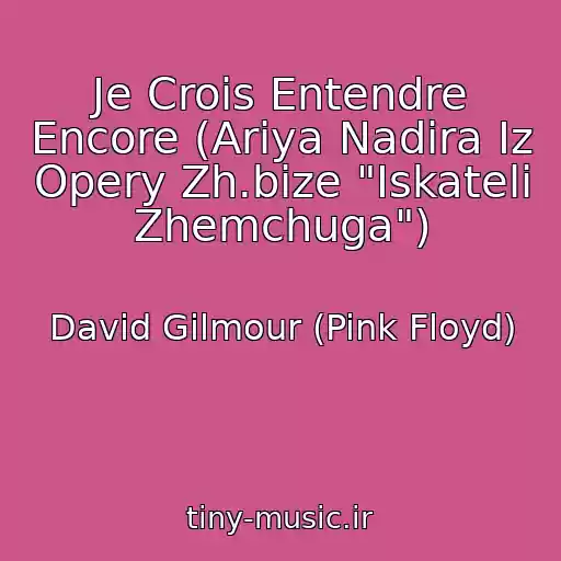 کاور آهنگ Je Crois Entendre Encore (Ariya Nadira Iz Opery Zh.bize "Iskateli Zhemchuga") از David Gilmour (Pink Floyd)