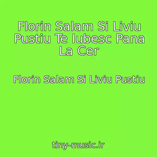 کاور آهنگ Florin Salam Si Liviu Pustiu Te Iubesc Pana La Cer از Florin Salam Si Liviu Pustiu