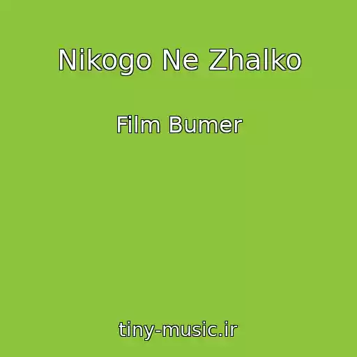 کاور آهنگ Nikogo Ne Zhalko از Film Bumer